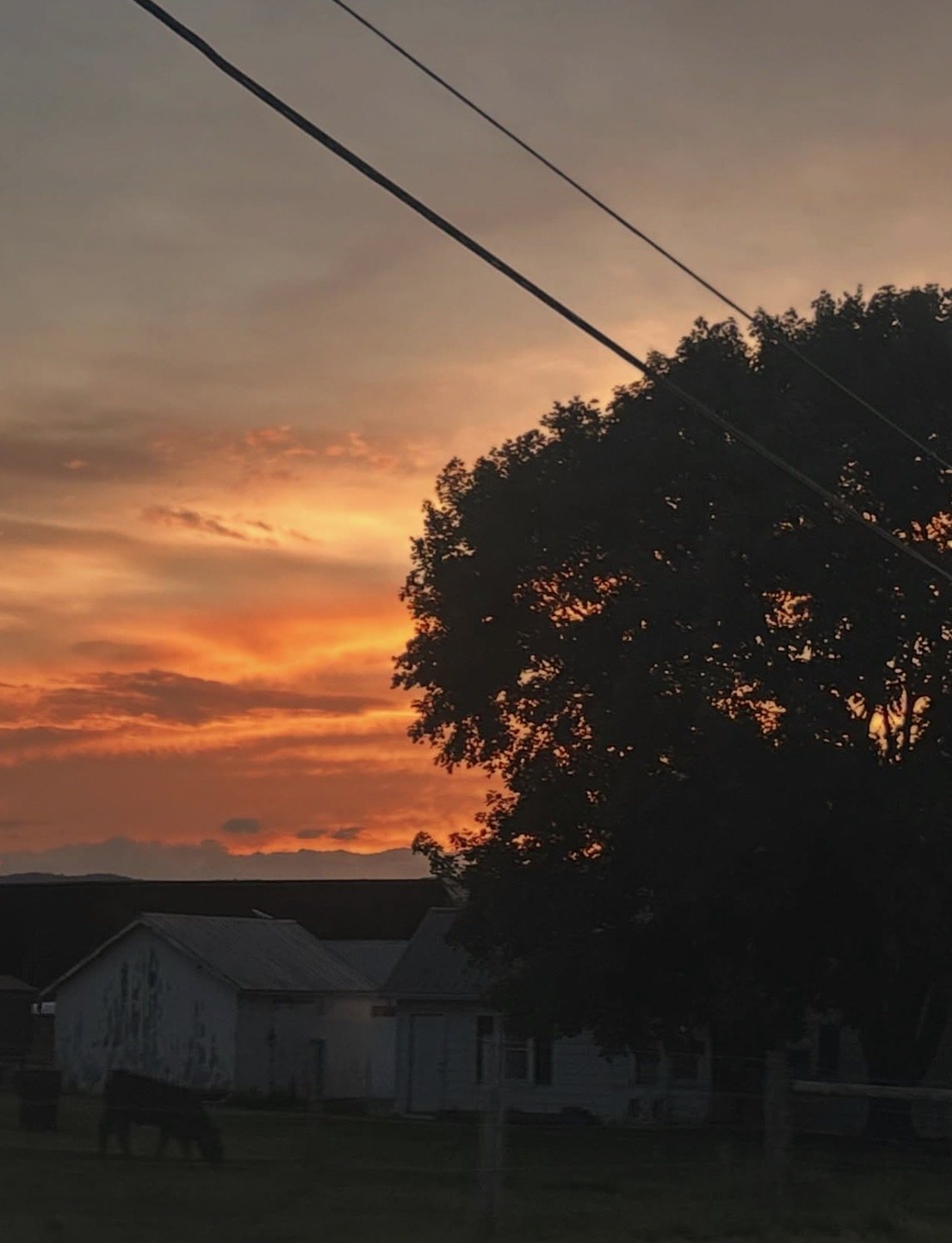 Orange Sunset